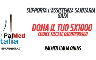 Palmed Italia 5 x 1000